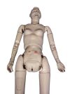 NASCO Life Form Simulator Patient Simulator