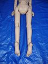 NASCO Life Form Simulator Patient Simulator