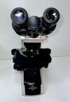 ACCU-SCOPE 3012 Microscope