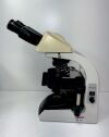 ACCU-SCOPE 3012 Microscope