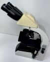 ACCU-SCOPE 3012 Microscope