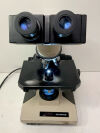OLYMPUS BH2 BHTU BH-2 BHTU Stereo  Lab Laboratory Scope binoculars Lab