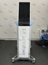 BTL 2020 Emsculpt Laser - Radio Frequency (RF)