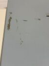 ENABLING TECHNOLOGIES BraillePlace Inter-Point Embosser Printer Braille Place .