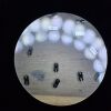 MICROMASCH HQ:XSC11/Pt MikroMasch HQ XSC11/Pt Pack  AFM Cantilevers 4 Tips Per Probe uMasch SPM