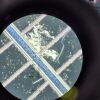 DIGITAL INSTRUMENTS NanoProbes Si3N4 Silicon Nitride AFM Cantilever Probes  Integral Tips Coated