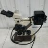 NIKON Labophot-2 Microscope