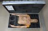TACMED Trauma F/X APL-PB AirwayPlus Lifecast Pulses/Breathing 1000 Series - 209132 Trauma Unit