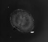 ANDOR iXon Ultra 888 Andor iXon Ultra 888 Monochrome EMCCD Microscope Camera