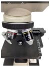 NIKON YS2-T Microscope
