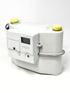 THEMIS Honeywell EI7 LOG 2.0 Smart Gas Meter