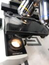 OLYMPUS CX21 Microscope