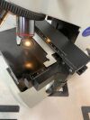 OLYMPUS CX21 Microscope