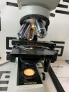 OLYMPUS CX21 Microscope