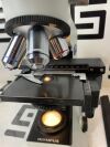 OLYMPUS CX21 Microscope