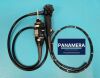 OLYMPUS GIF-1TH190 Gastroscope