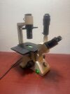 OLYMPUS CK2 Microscope