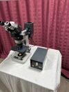 AMERICAN OPTICAL One-Ten Microscope