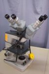 AMERICAN OPTICAL One-Ten Microscope