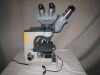 AMERICAN OPTICAL One-Ten Microscope