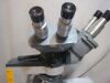 AMERICAN OPTICAL One-Ten Microscope