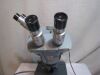 AMERICAN OPTICAL One-Ten Microscope