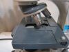 AMERICAN OPTICAL One-Ten Microscope
