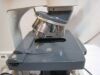 AMERICAN OPTICAL One-Ten Microscope