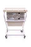 REHABILICARE IONOSON PHYSIOVAC 62  electrapy apparatus