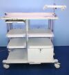 OLYMPUS  Endoscopy Cart Endoscope Cart Nice