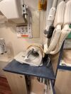 PHILIPS Achieva 1.5T MRI Mobile