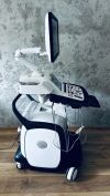 GE GENERAL ELECTRIC Ge Vivid E95 v.202 with M5Sc-D Ultrasound - Cardiac - Vascular