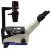 FISHER SCIENTIFIC 12-560-45 Microscope