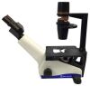 FISHER SCIENTIFIC 12-560-45 Microscope
