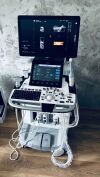 GE Logiq E10 Shearwave Elasto 3D Ultrasound - OB / GYN - Vascular