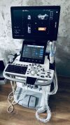 GE Logiq E10 Shearwave Elasto 3D Ultrasound - OB / GYN - Vascular