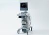 SIEMENS ACUSON OMNI Series, X-Series, X500 / X700, SONOLINE Series and more. Ultrasound System Services and Spare Parts Ultrasound Transducer