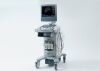 SIEMENS ACUSON OMNI Series, X-Series, X500 / X700, SONOLINE Series and more. Ultrasound System Services and Spare Parts  Ultrasound Accessories