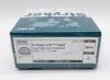 STRYKER 06-2805 C-Taper LFIT Head