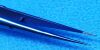 ASSI TFRS18RM8TC Forceps