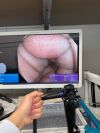 OLYMPUS CF-HQ190L Colonoscope