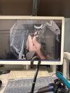 OLYMPUS GIF-HQ190 Gastroscope