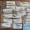 SYNTHES Humerus Orthopedic Set of 19 Plates
