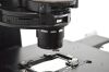 NIKON Ti2-U Microscope