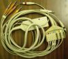 HEWLETT PACKARD  10 Lead Cable ECG unit