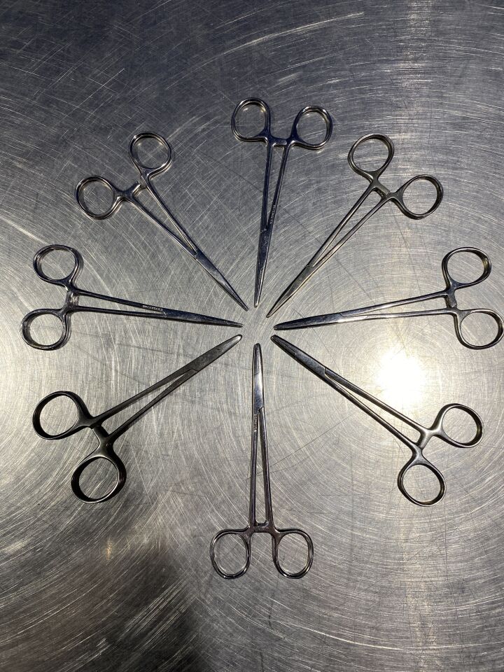 PAKISTAN Hemostatic Forceps and Straight Kelly - Lot of 8