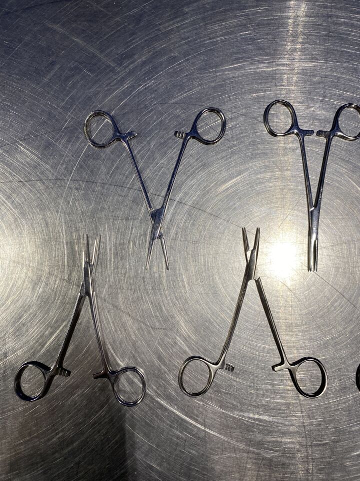PAKISTAN Hemostatic Forceps and Straight Kelly - Lot of 8