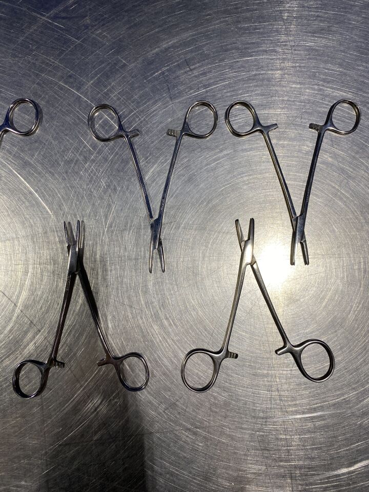 PAKISTAN Hemostatic Forceps and Straight Kelly - Lot of 8
