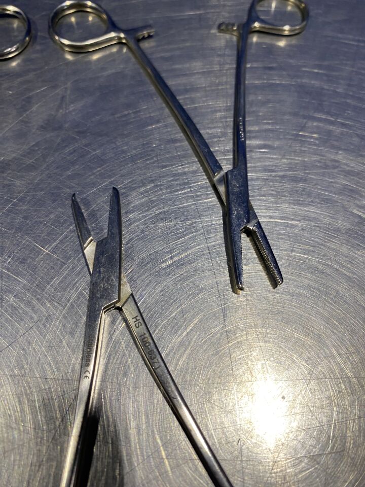PAKISTAN Hemostatic Forceps and Straight Kelly - Lot of 8