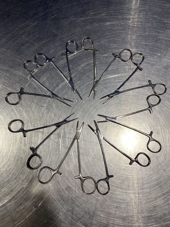 PAKISTAN Hemostatic Forceps and Straight Kelly - Lot of 8